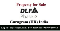 Property for Sale in DLF Phase 2