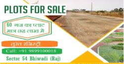 Plot for sale Sec.54 Bhiwadi