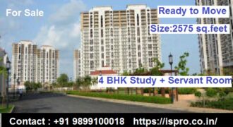 Ready to Move 4 BHK flat sector 90