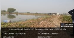 Land for Sale Sec.107 Gurgaon