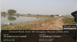 Land for Sale Sec.107 Gurgaon