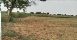 Farm Land for Sale (Nearby Sector 91  )