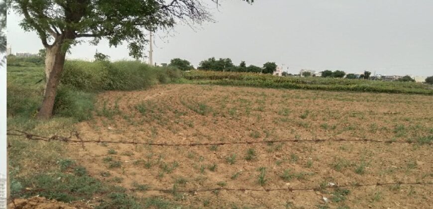 Farm Land for Sale (Nearby Sector 91  )