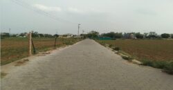 Farm Land for Sale (Nearby Sector 91  )