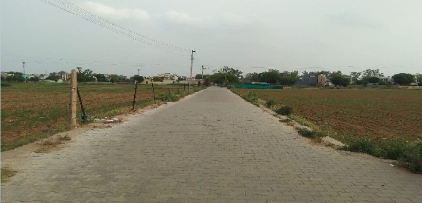 Farm Land for Sale (Nearby Sector 91  )