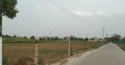 Farm Land for Sale (Nearby Sector 91  )