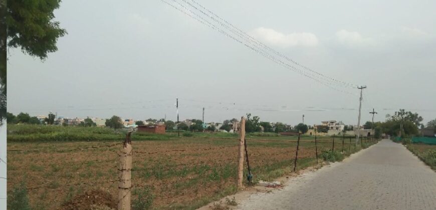 Farm Land for Sale (Nearby Sector 91  )