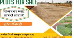 Plot for Sale (Bichun Jaipur)