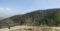 Land for Sale (Kufri Himanchal Pradesh)