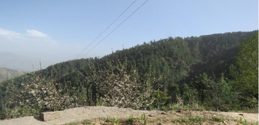 Land for Sale (Kufri Himanchal Pradesh)