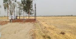 Free Hold Plot for Sale Tappal  (UP)