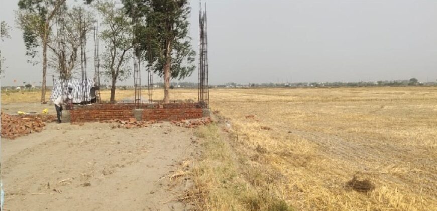 Free Hold Plot for Sale Tappal  (UP)