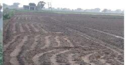 Agriculture Land for Sale Gurgaon