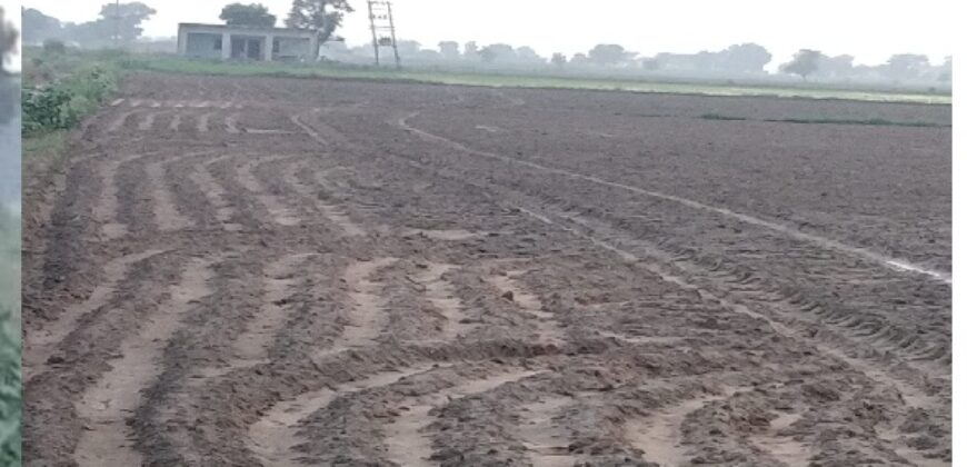 Agriculture Land for Sale Gurgaon