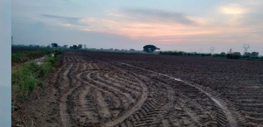 Agriculture Land for Sale Gurgaon