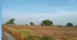 Agriculture Land for Sale Gurgaon