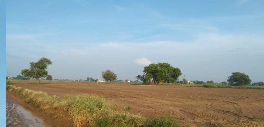 Agriculture Land for Sale Gurgaon