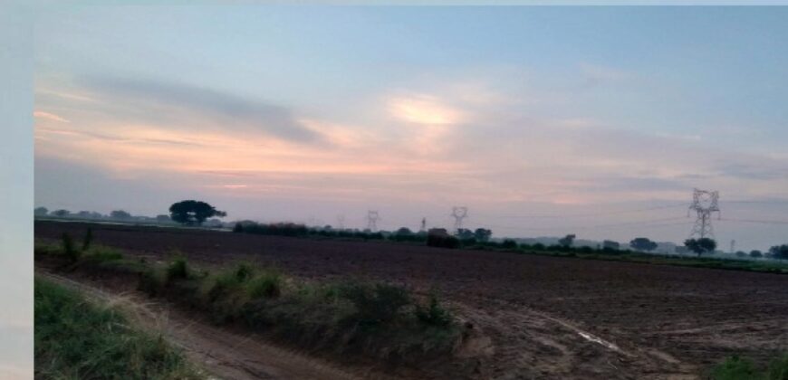 Agriculture Land for Sale Gurgaon