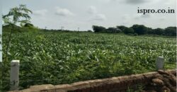 Farm Land for Sale Khatawali Dharuhera