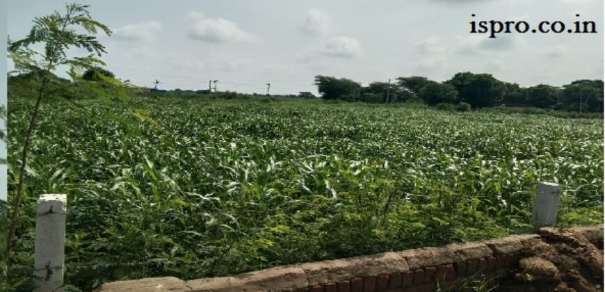 Farm Land for Sale Khatawali Dharuhera