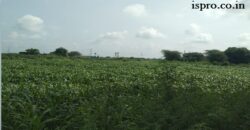 Farm Land for Sale Khatawali Dharuhera