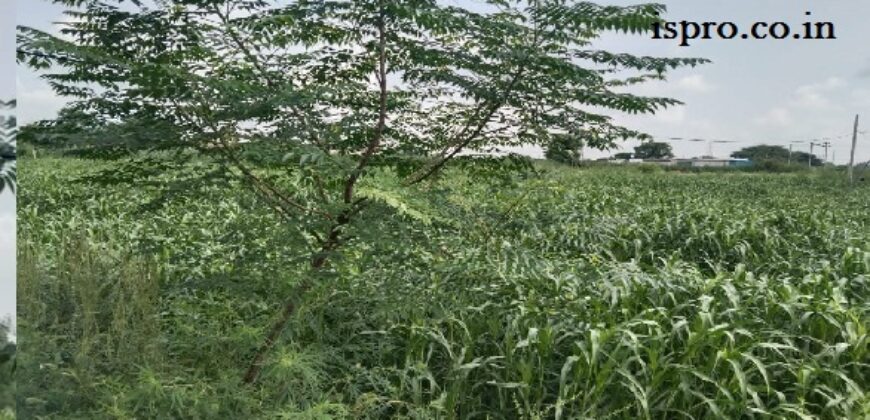 Farm Land for Sale Khatawali Dharuhera