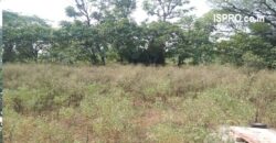 Farm Land for Sale Damdama Lake Gurgaon