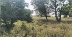 Farm Land for Sale Damdama Lake Gurgaon