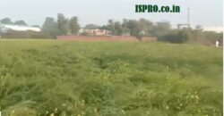 Agriculture Farm Land for Sale Shahjahanpur (Raj.)