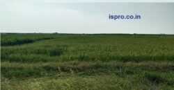 Agriculture Land for Sale Uleta Palwal