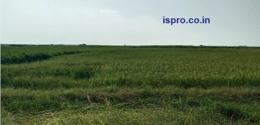 Agriculture Land for Sale Uleta Palwal