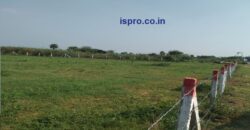 Agriculture Land for Sale Uleta Palwal