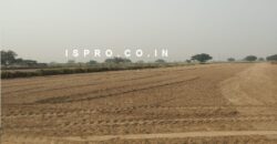 Agriculture Farm Land for Sale Sultanpur