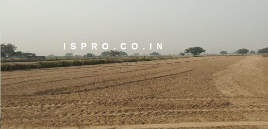 Agriculture Farm Land for Sale Sultanpur