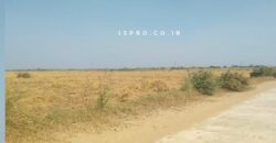 Land for Sale Badsa (Jhajjar)