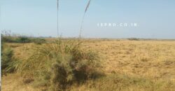 Land for Sale Badsa (Jhajjar)