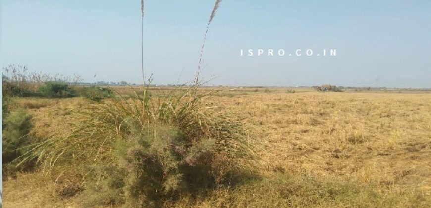 Land for Sale Badsa (Jhajjar)