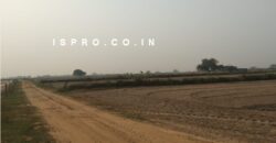 Agriculture Farm Land for Sale Sultanpur