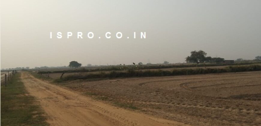 Agriculture Farm Land for Sale Sultanpur