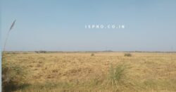 Land for Sale Badsa (Jhajjar)