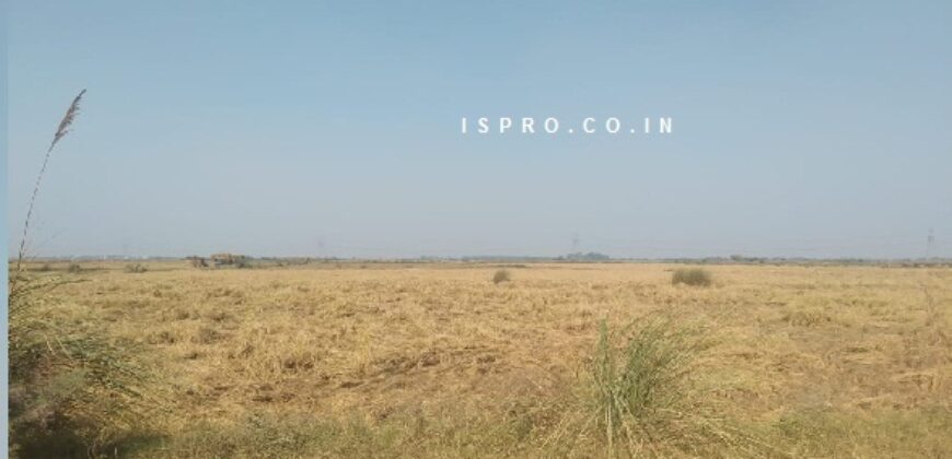 Land for Sale Badsa (Jhajjar)