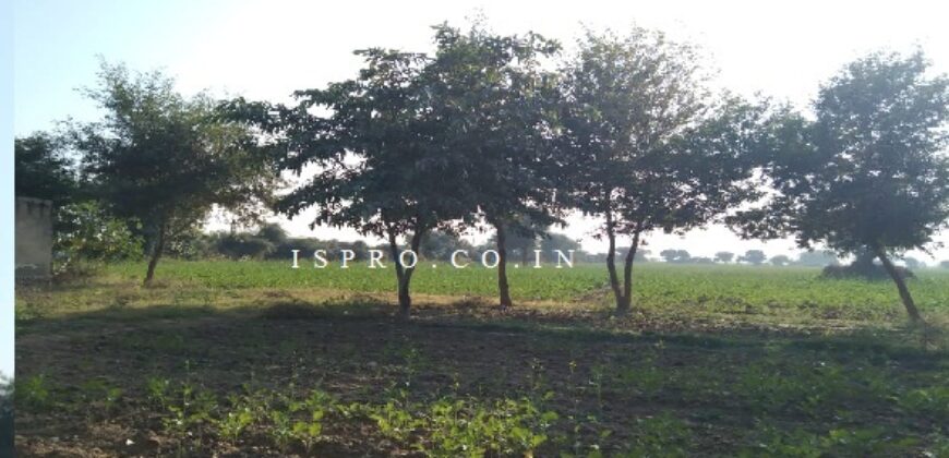 Agriculture Land for Sale Dahami Behror