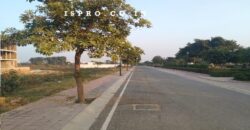 Plot for Sale DLF Gurgaon