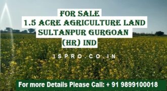 Agriculture Land for Sale Sultanpur Gurgaon