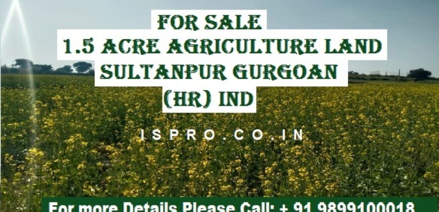 Agriculture Land for Sale Sultanpur Gurgaon