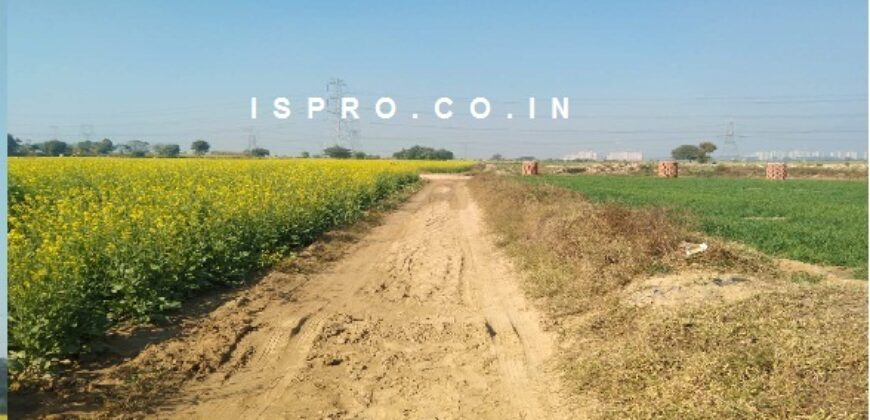 4.5 Acres Land for Sale Sultanpur Gurgaon