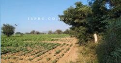 Agriculture Land for Sale Dahami Behror