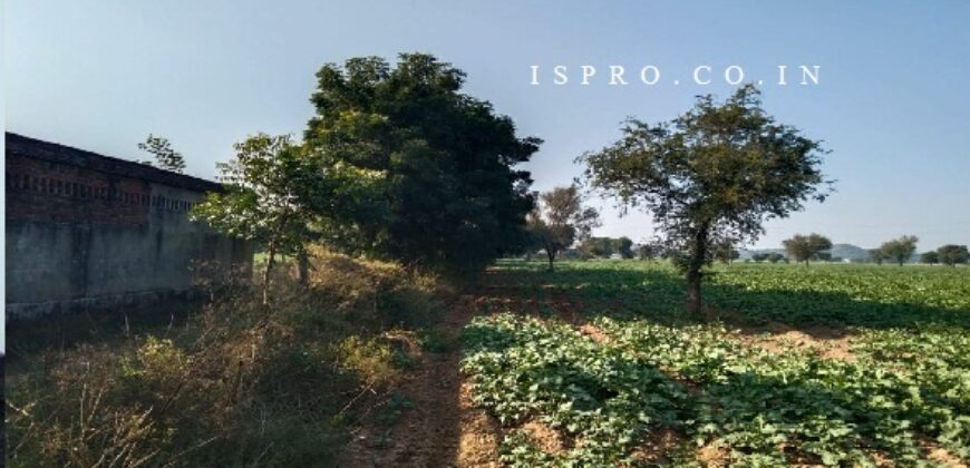 Agriculture Land for Sale Dahami Behror