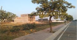 Plot for Sale DLF Gurgaon