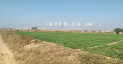 4.5 Acres Land for Sale Sultanpur Gurgaon